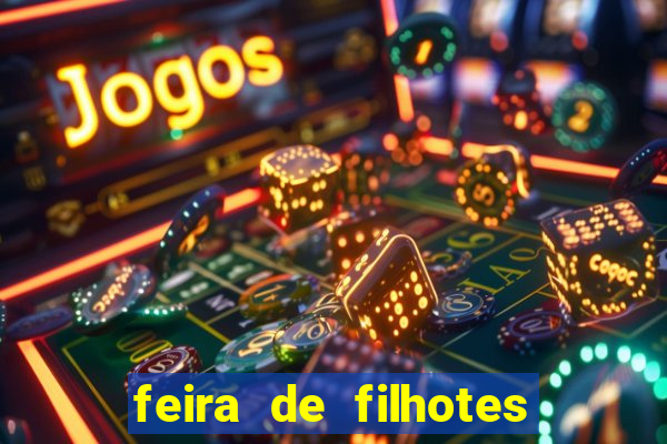feira de filhotes porto alegre